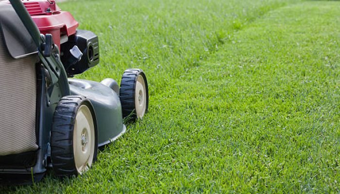 Mowing the grass